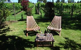 Villa In The Vines